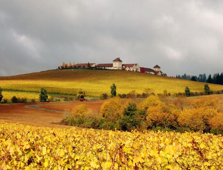 king_estate-autumn-glory-by-rachell-coe-2004 King Estate